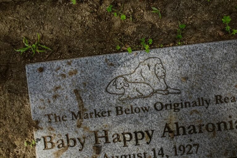 smart online efficiency platform